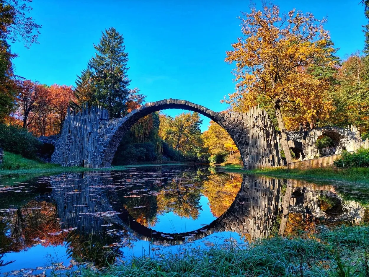 Entry 12810778