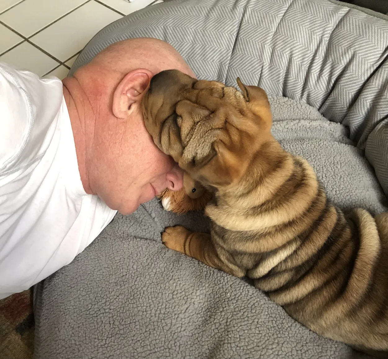 Entry 13871398