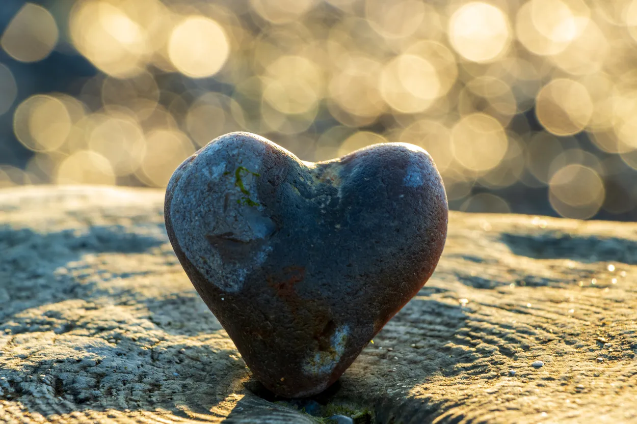 Entry 15876510