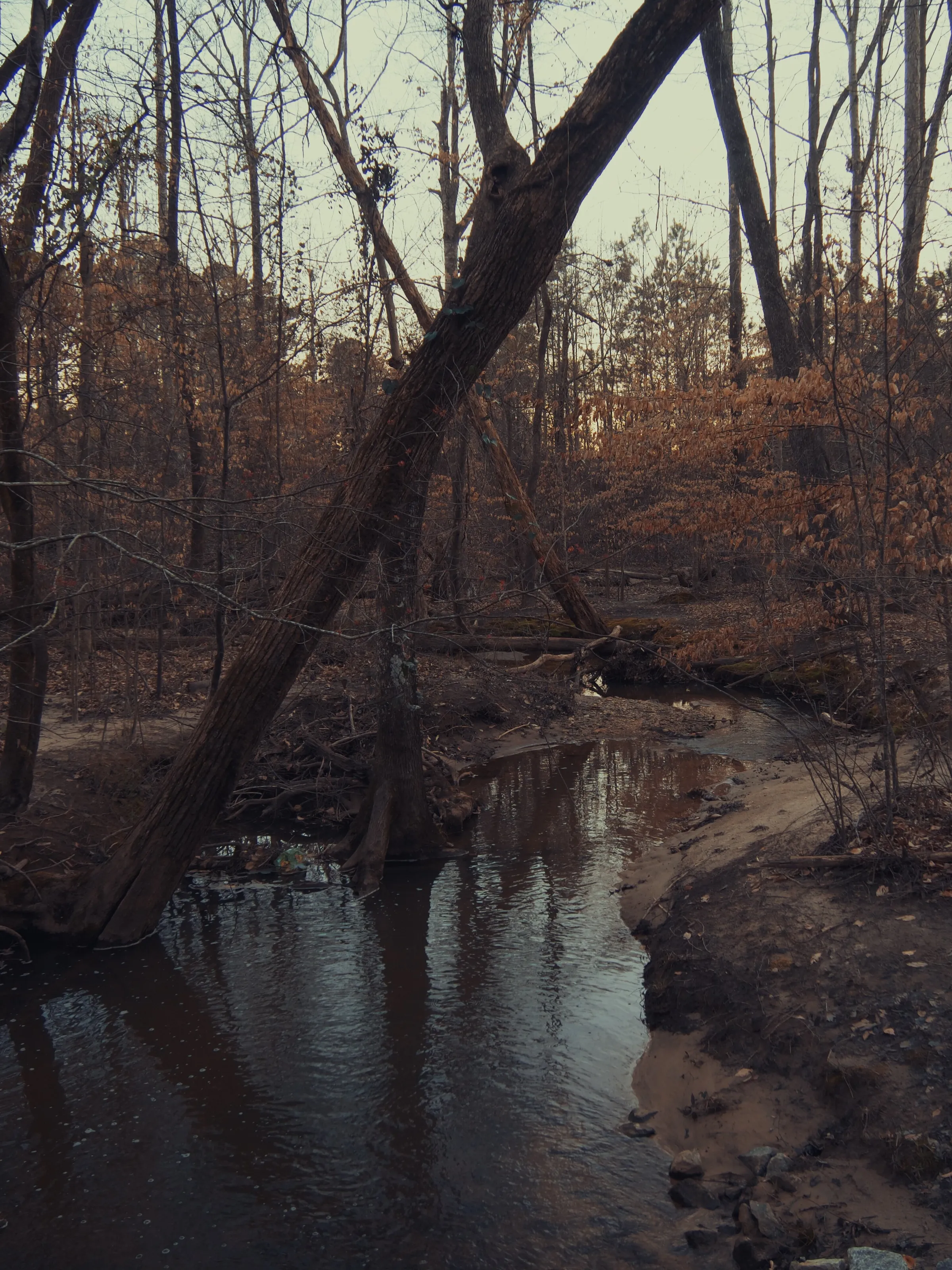 Ideal River Stream