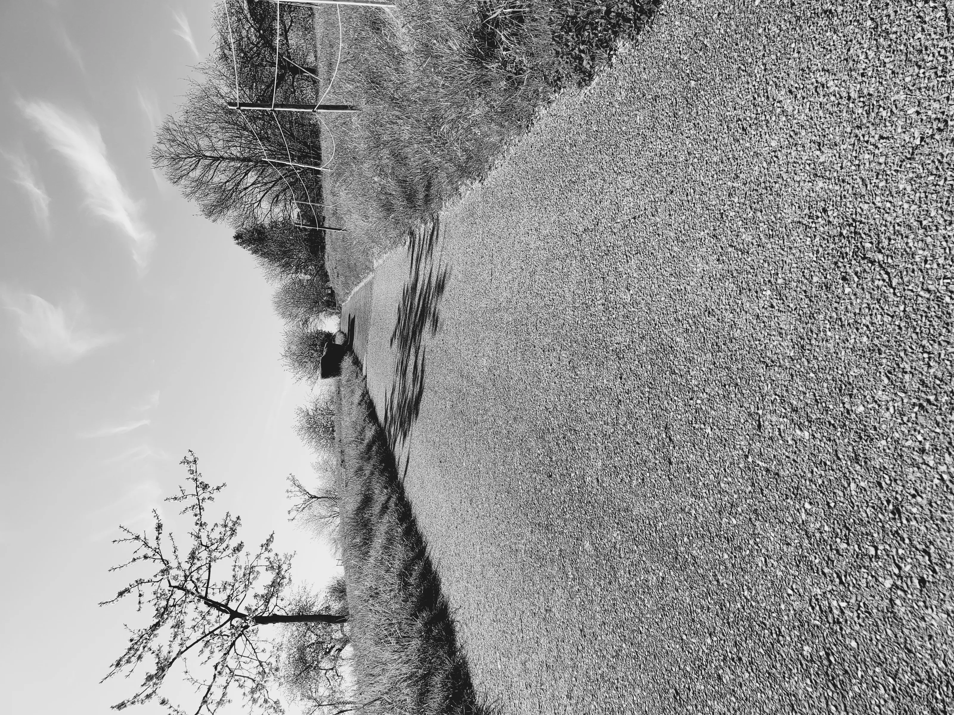 lonely path