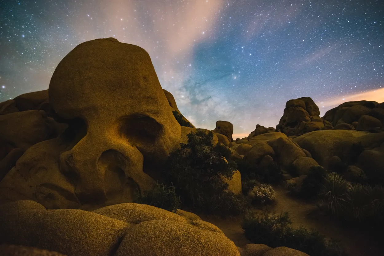 Entry 1494308