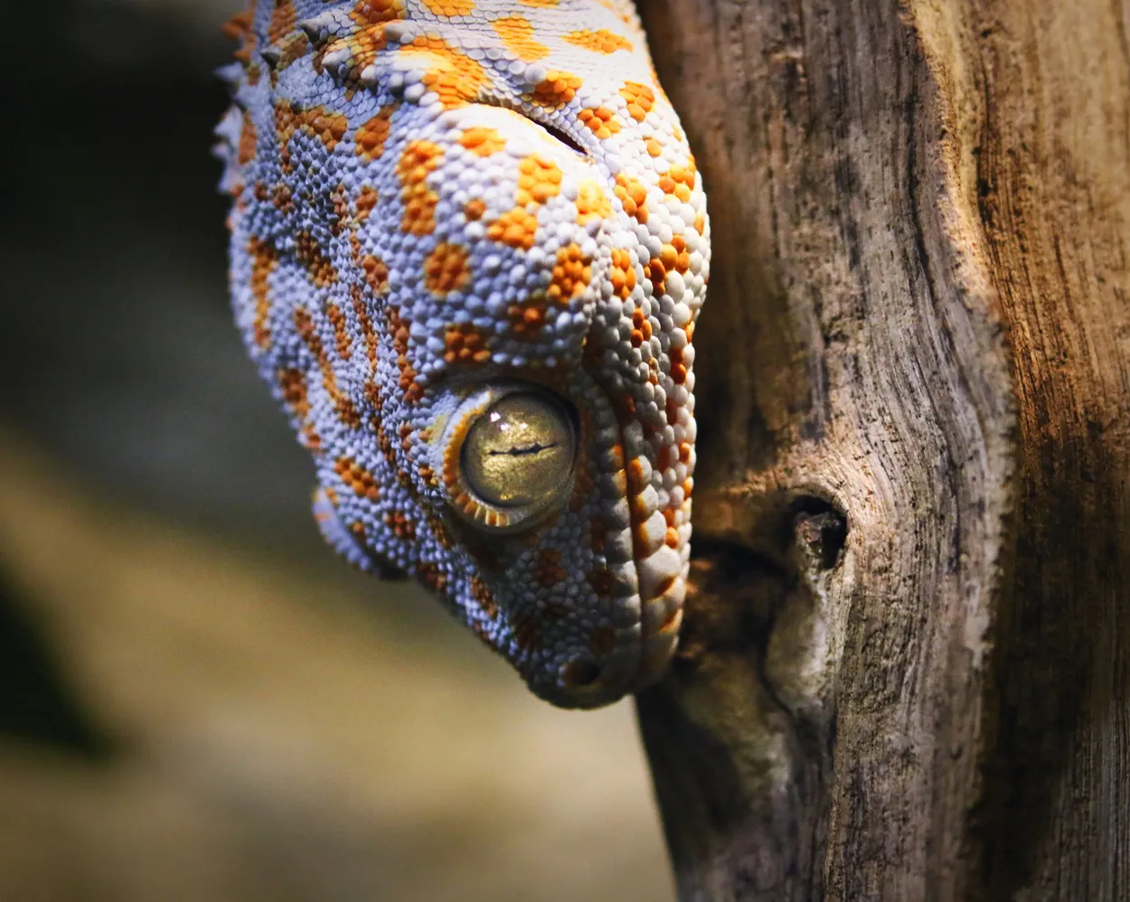 Entry 853857