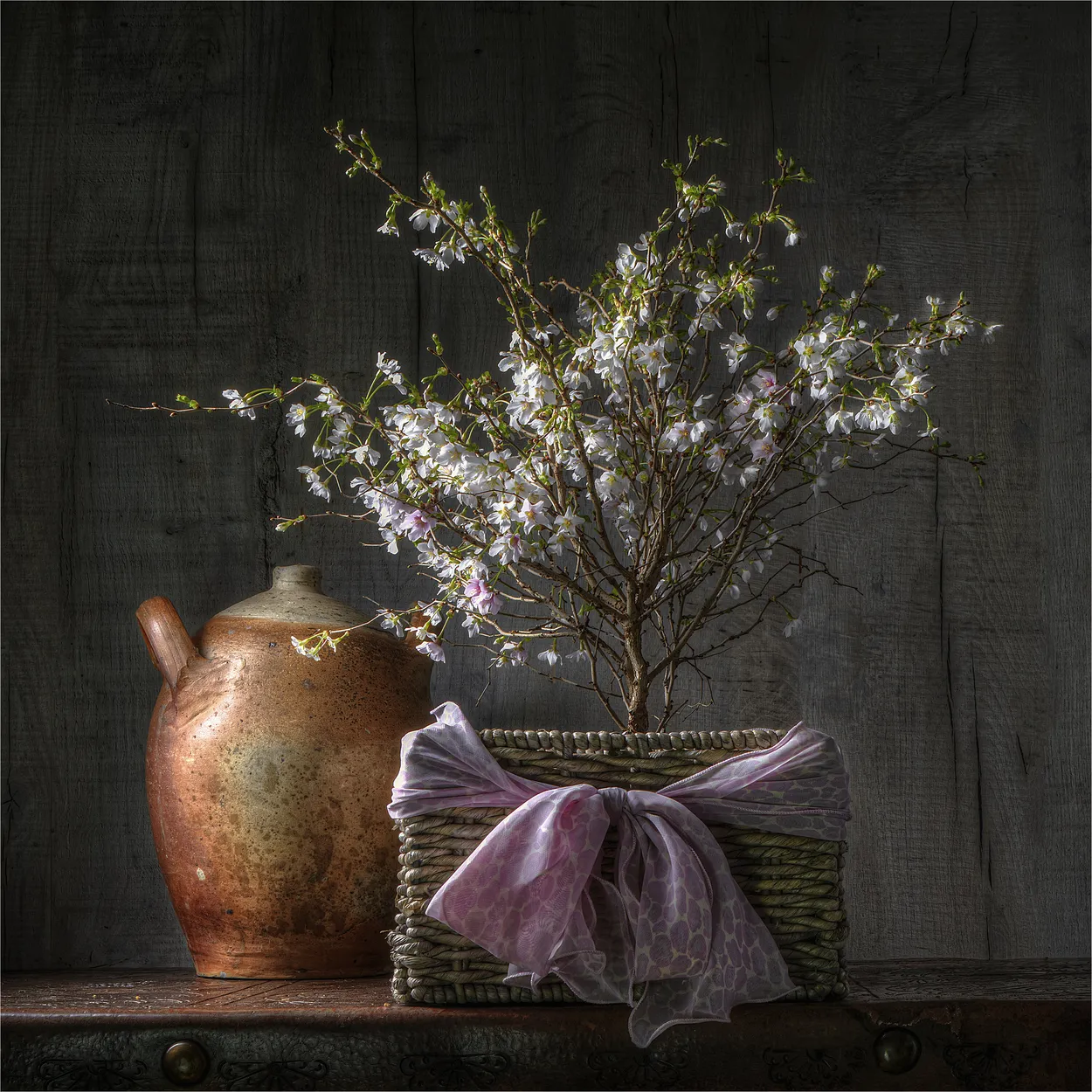 Cherry Blossom Bonsai
