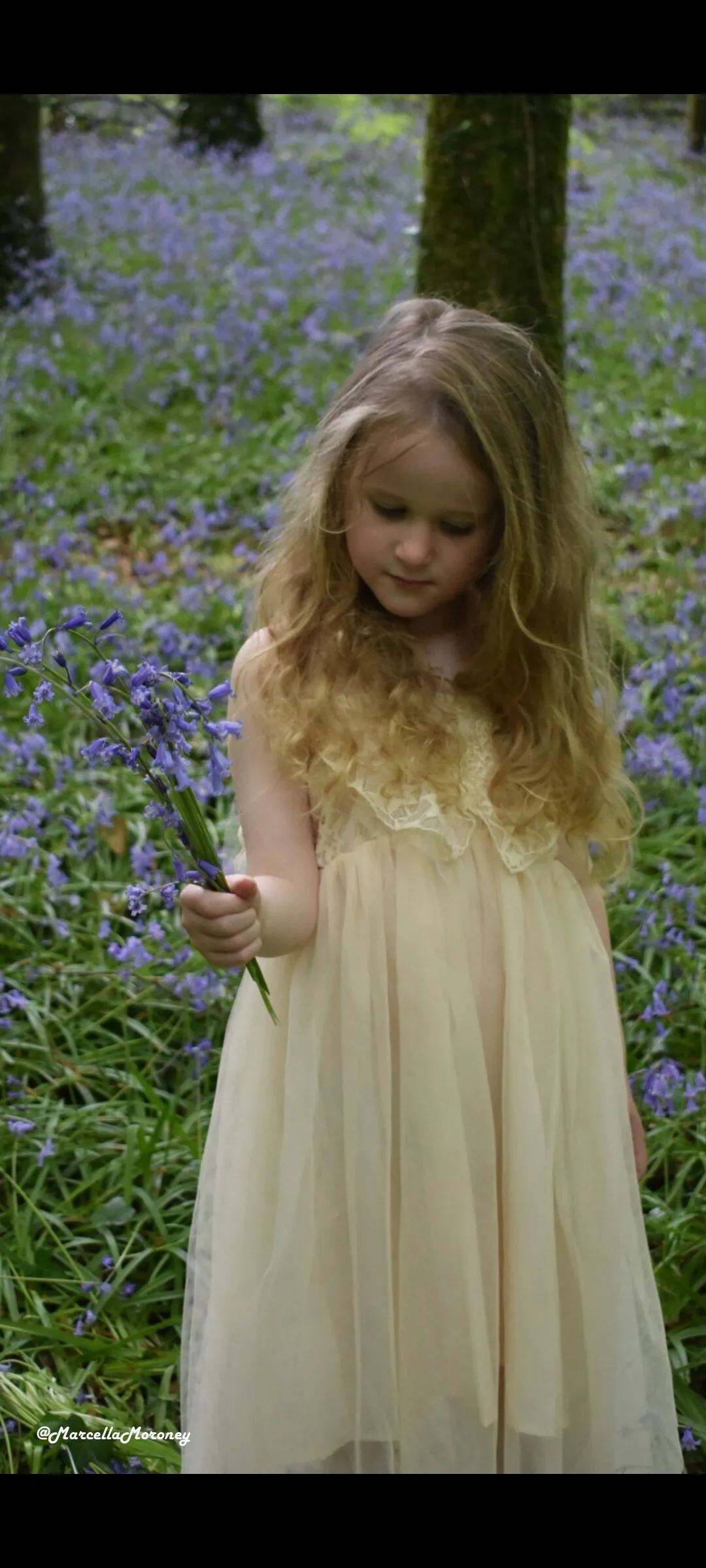 A fairy among the bluebells