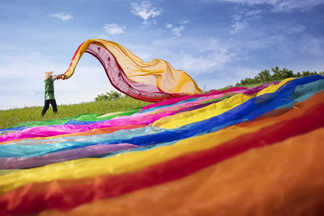 color field