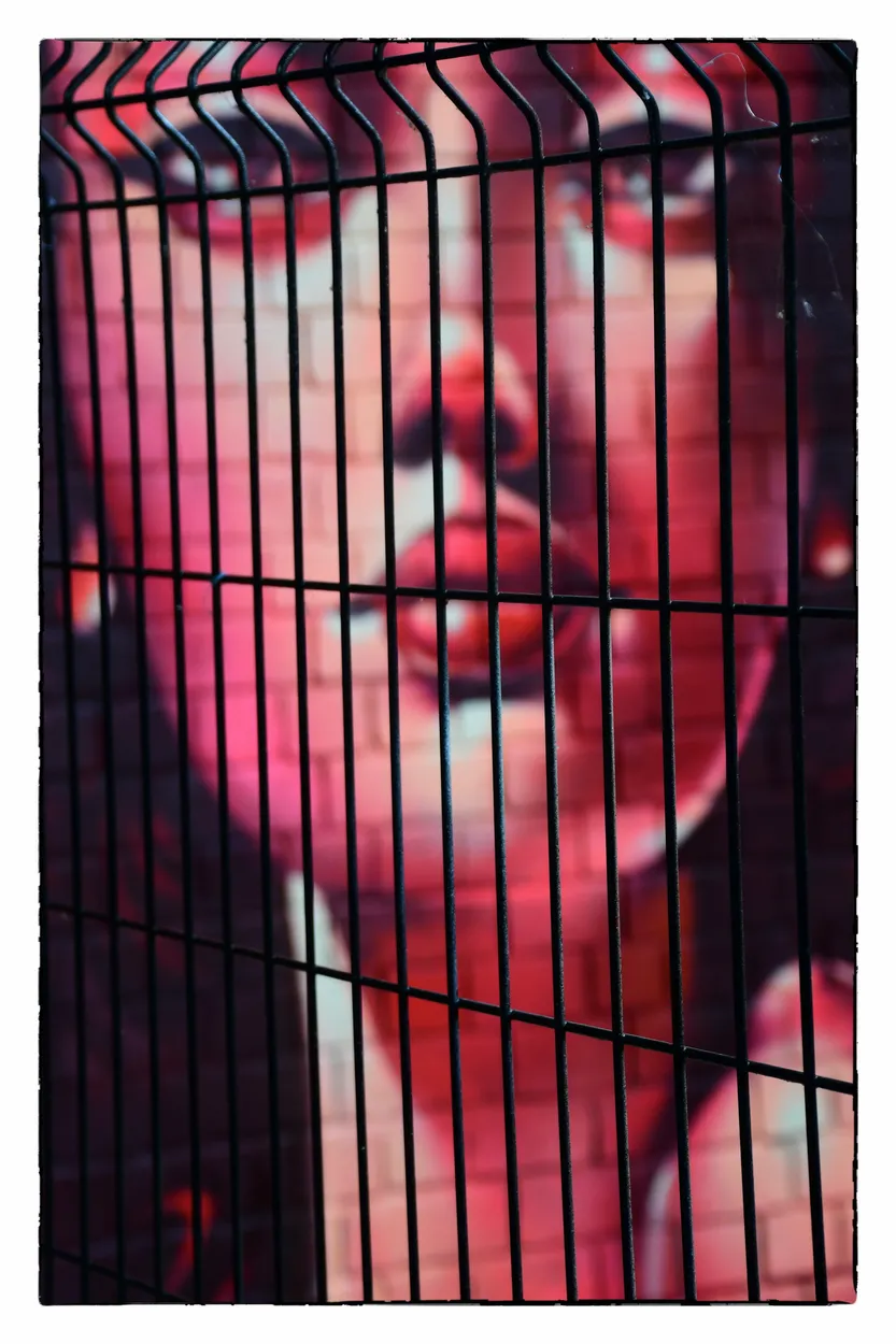 Entry 24191054