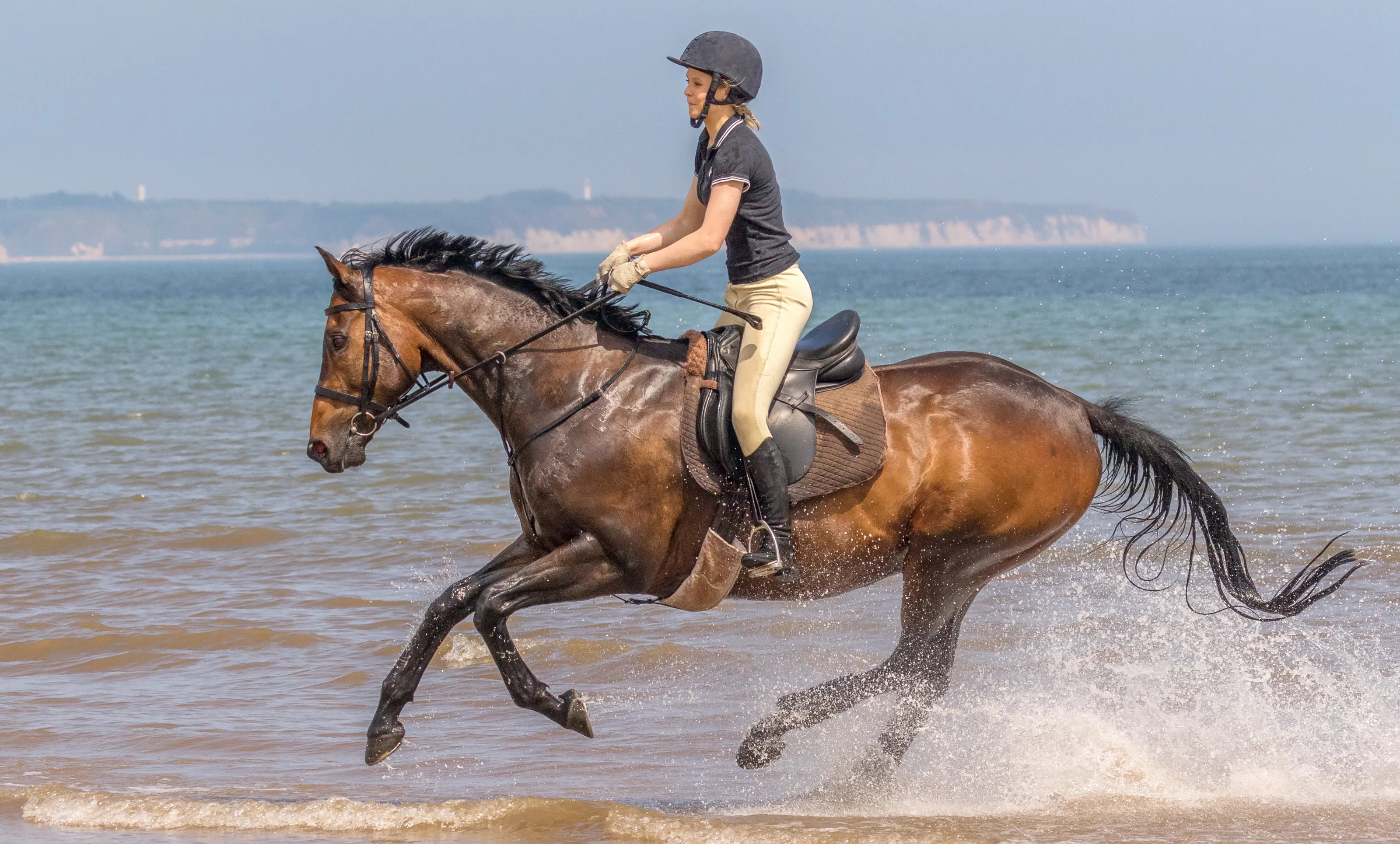 GALLOPING THROUGH THE WAVES