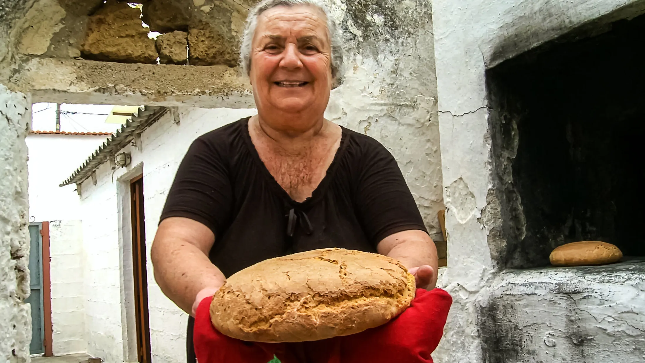 Entry 13082471