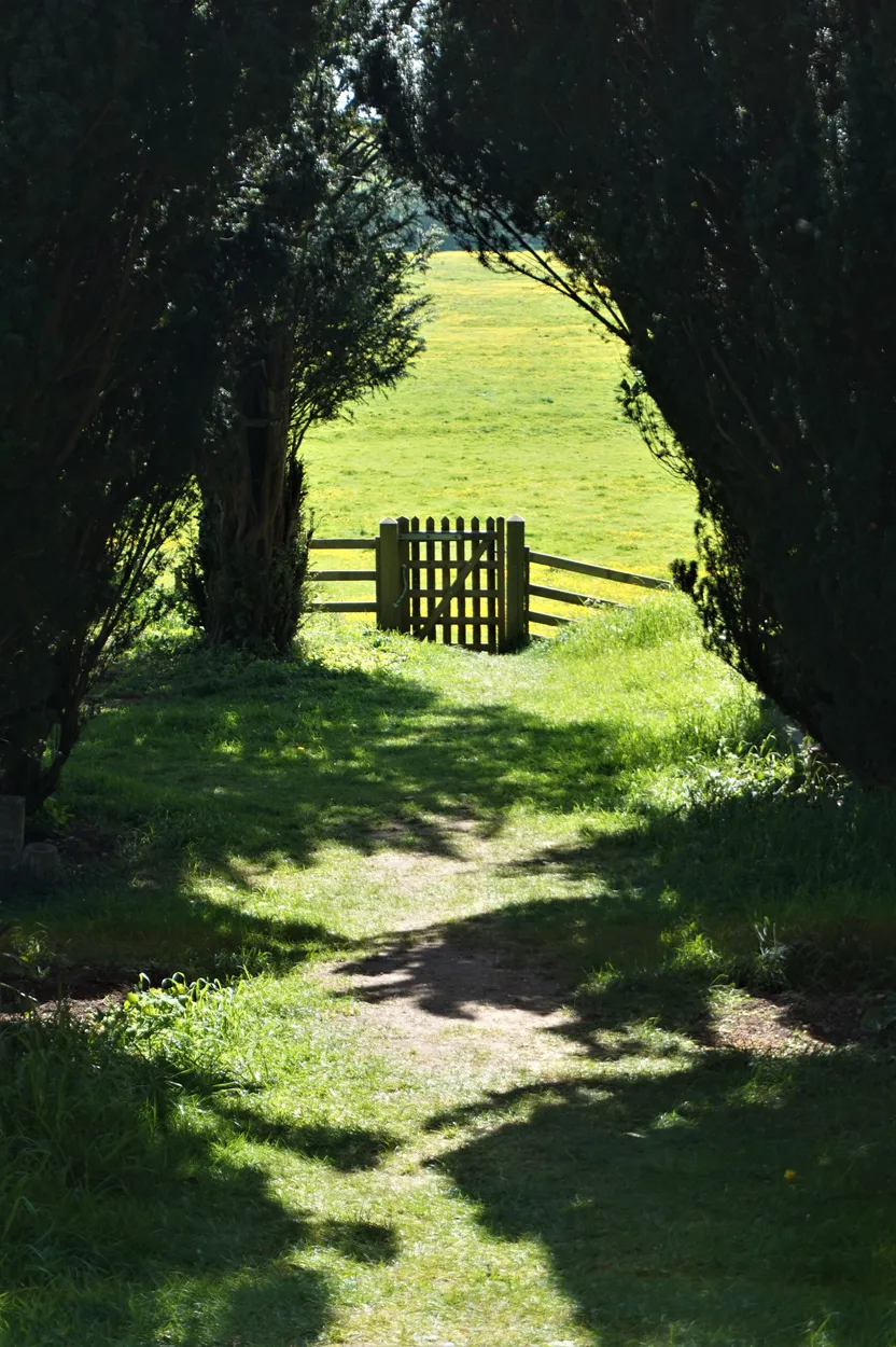 Entry 20819657