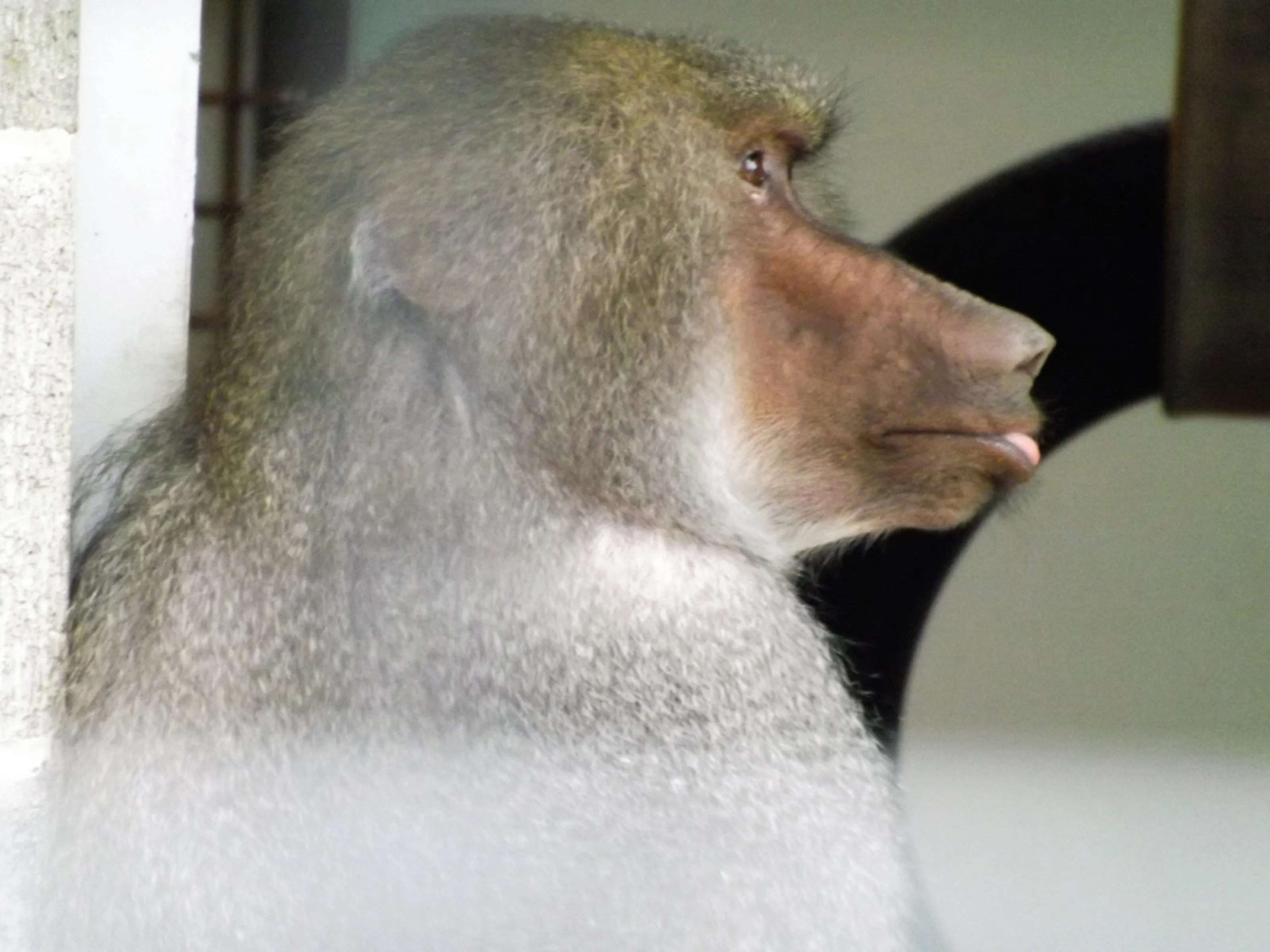 Thinking