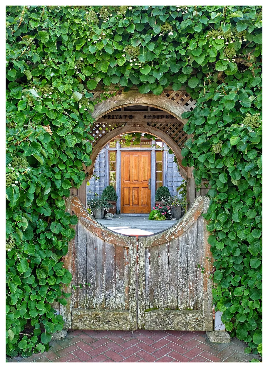 Entry 12933461