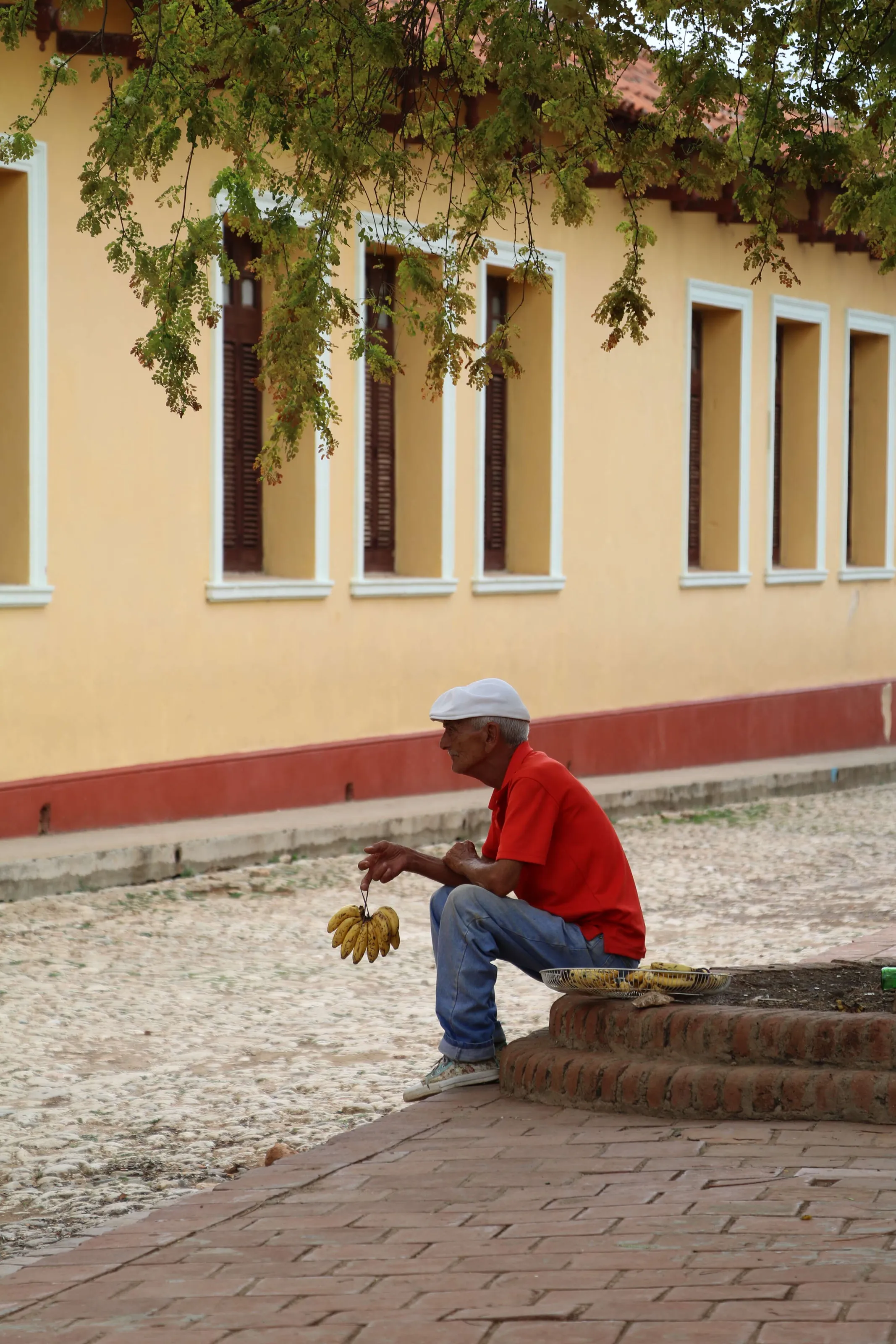 Banana Seller