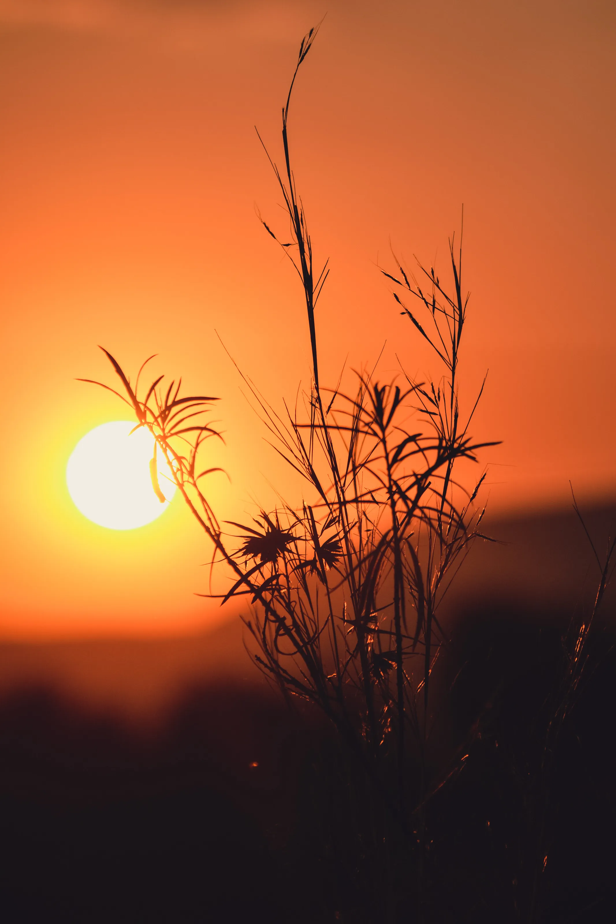 Beautiful South African sunset landscape