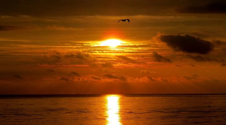 Sunrise