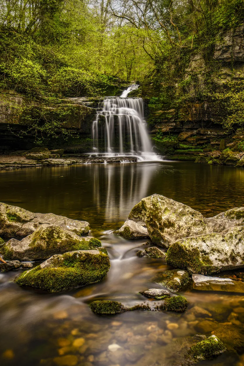 Entry 23143993