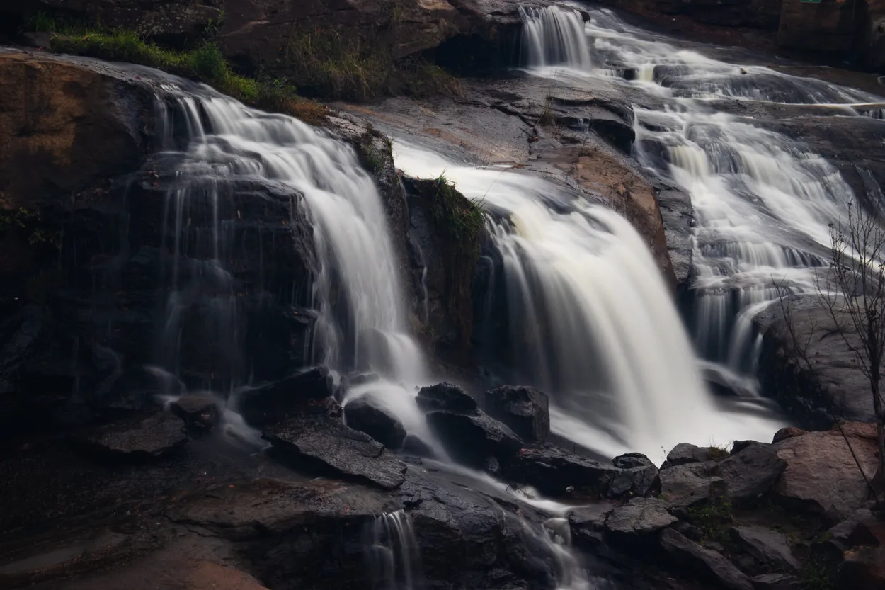 Entry 13484923