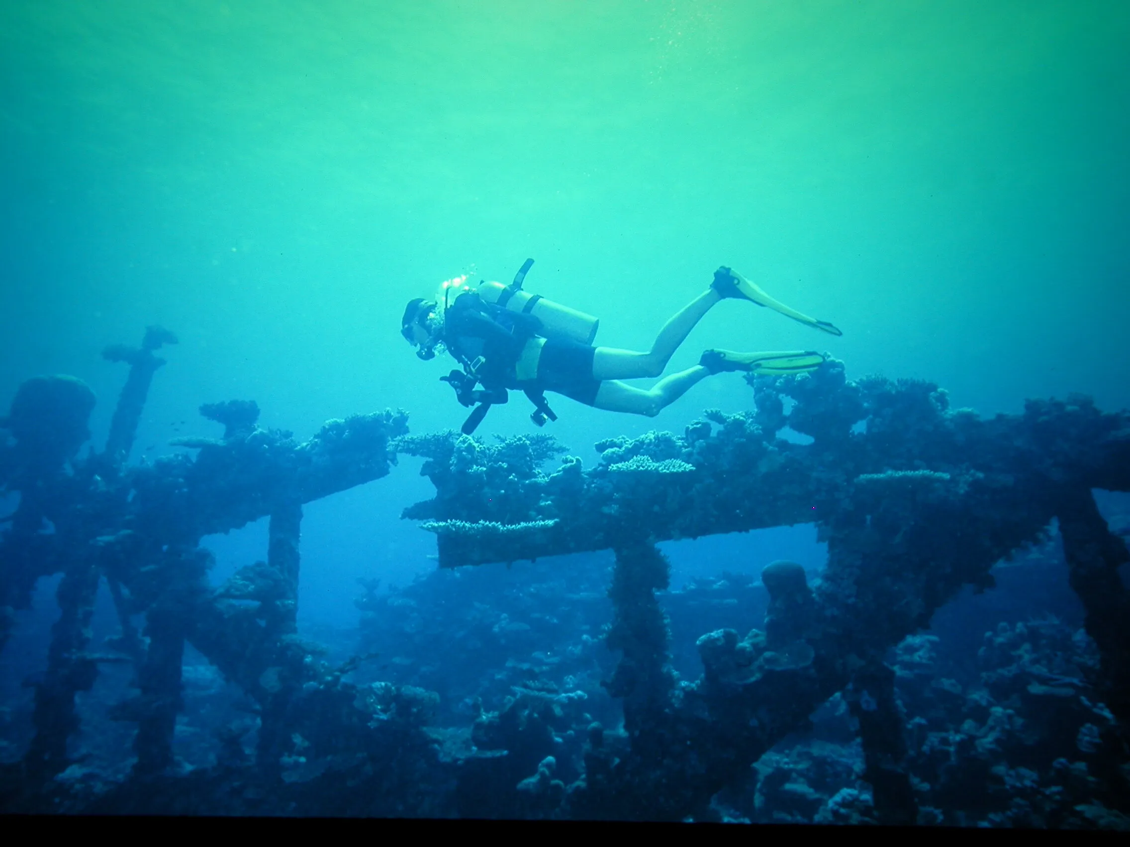 Red Sea Wreck off Jeddah