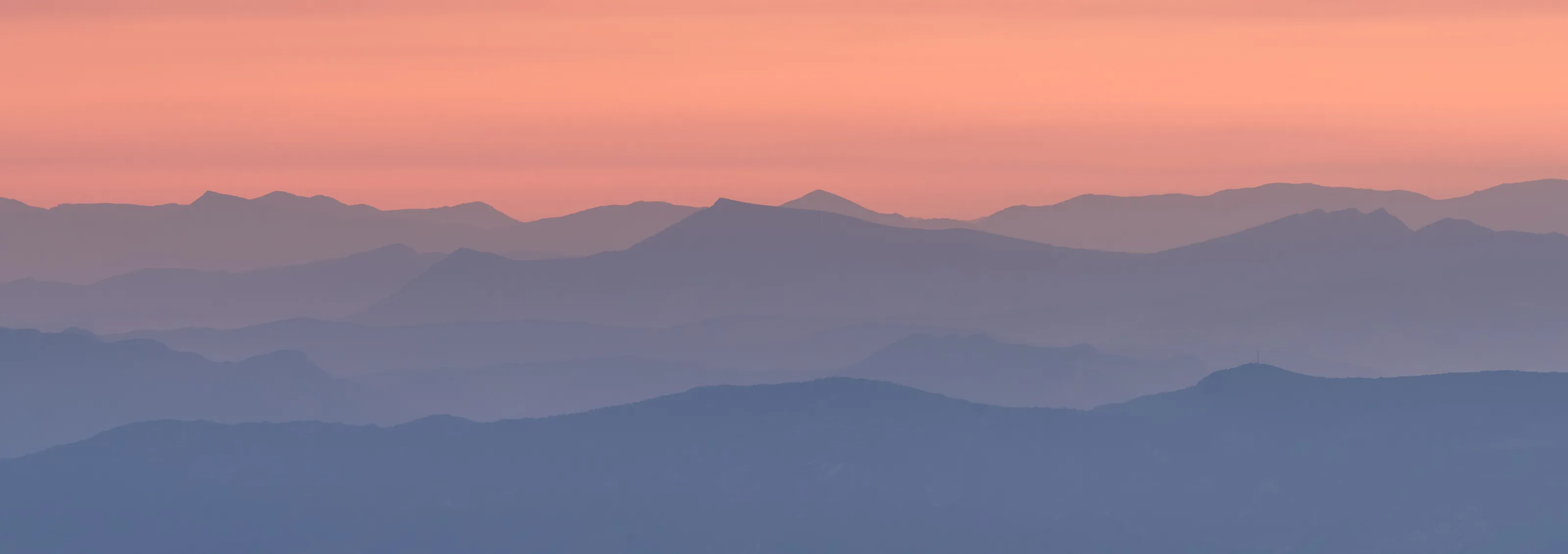 Provence Dawn