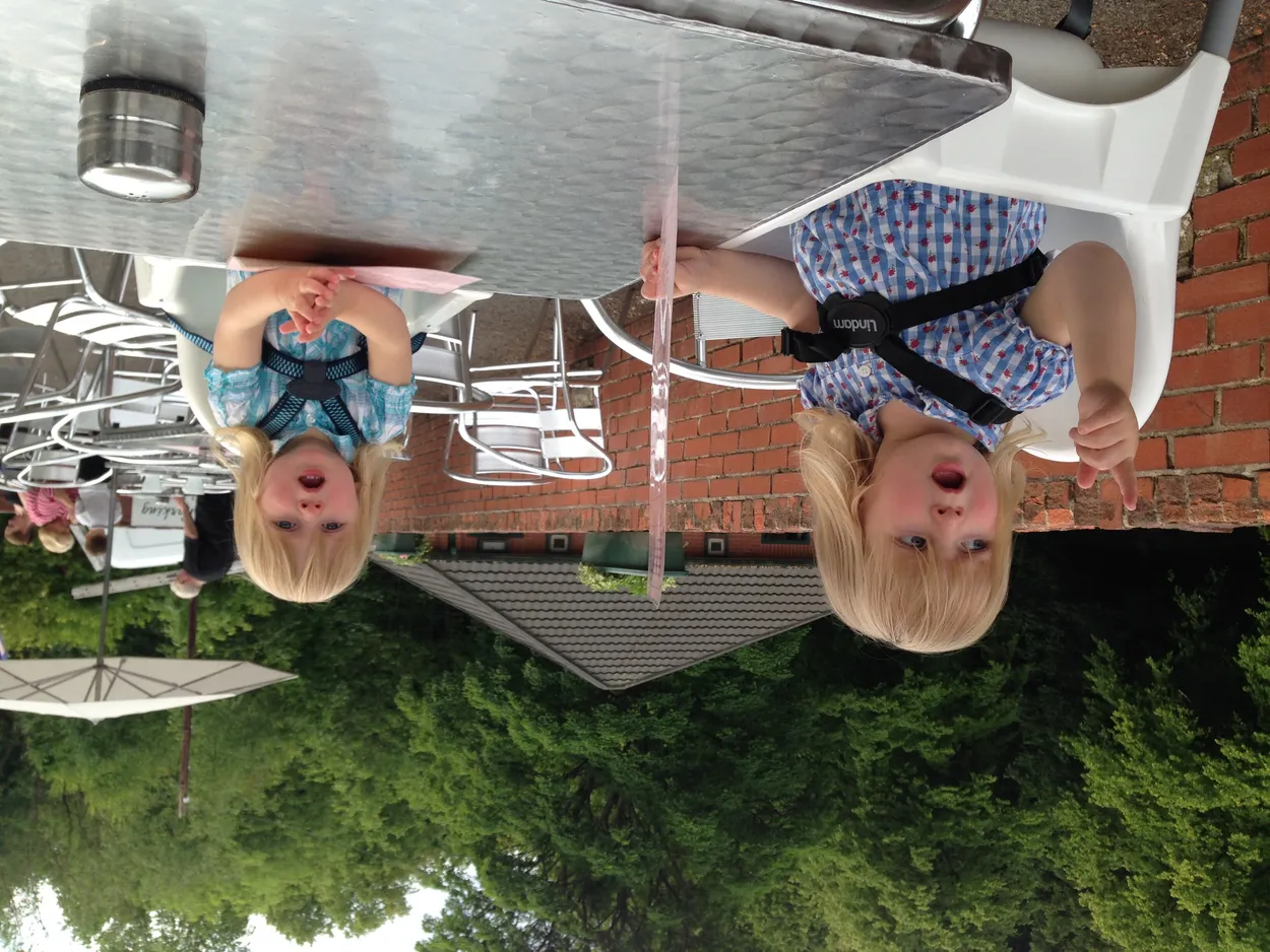 Entry 18522016