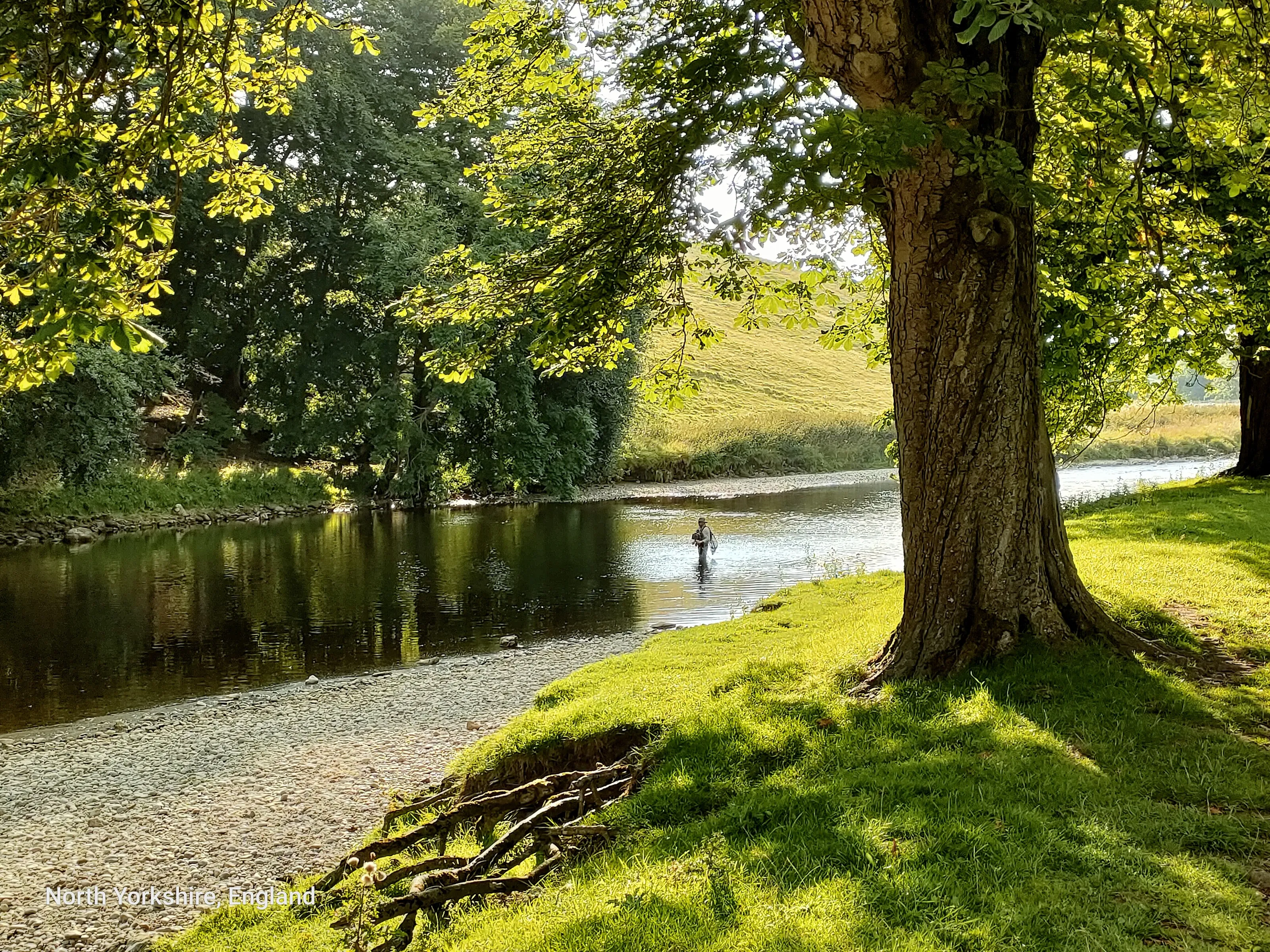 Fly fishing