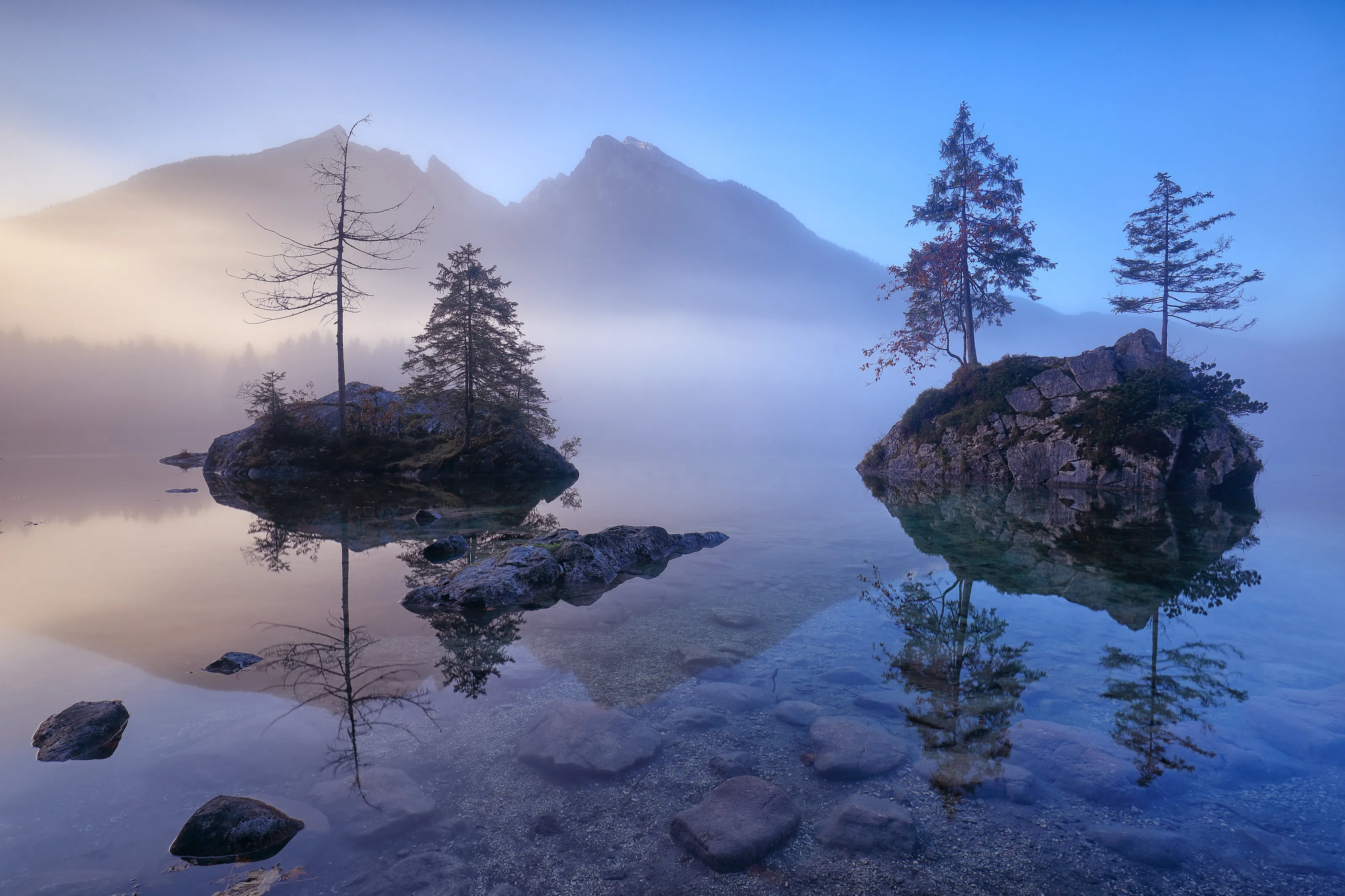 symphony of fog