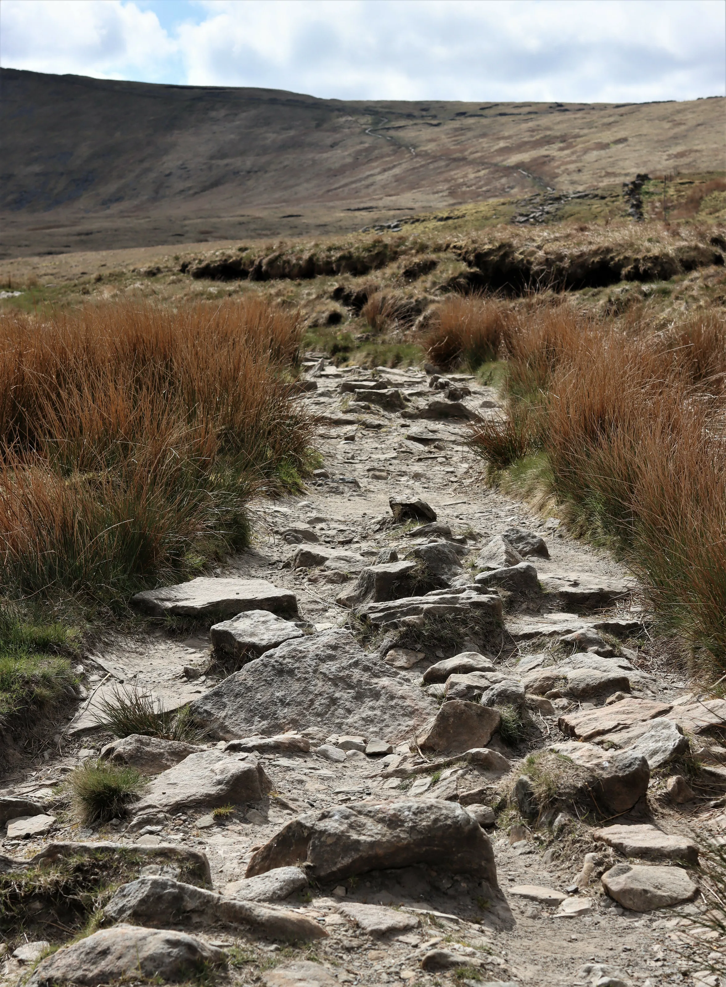 Following the trail.
