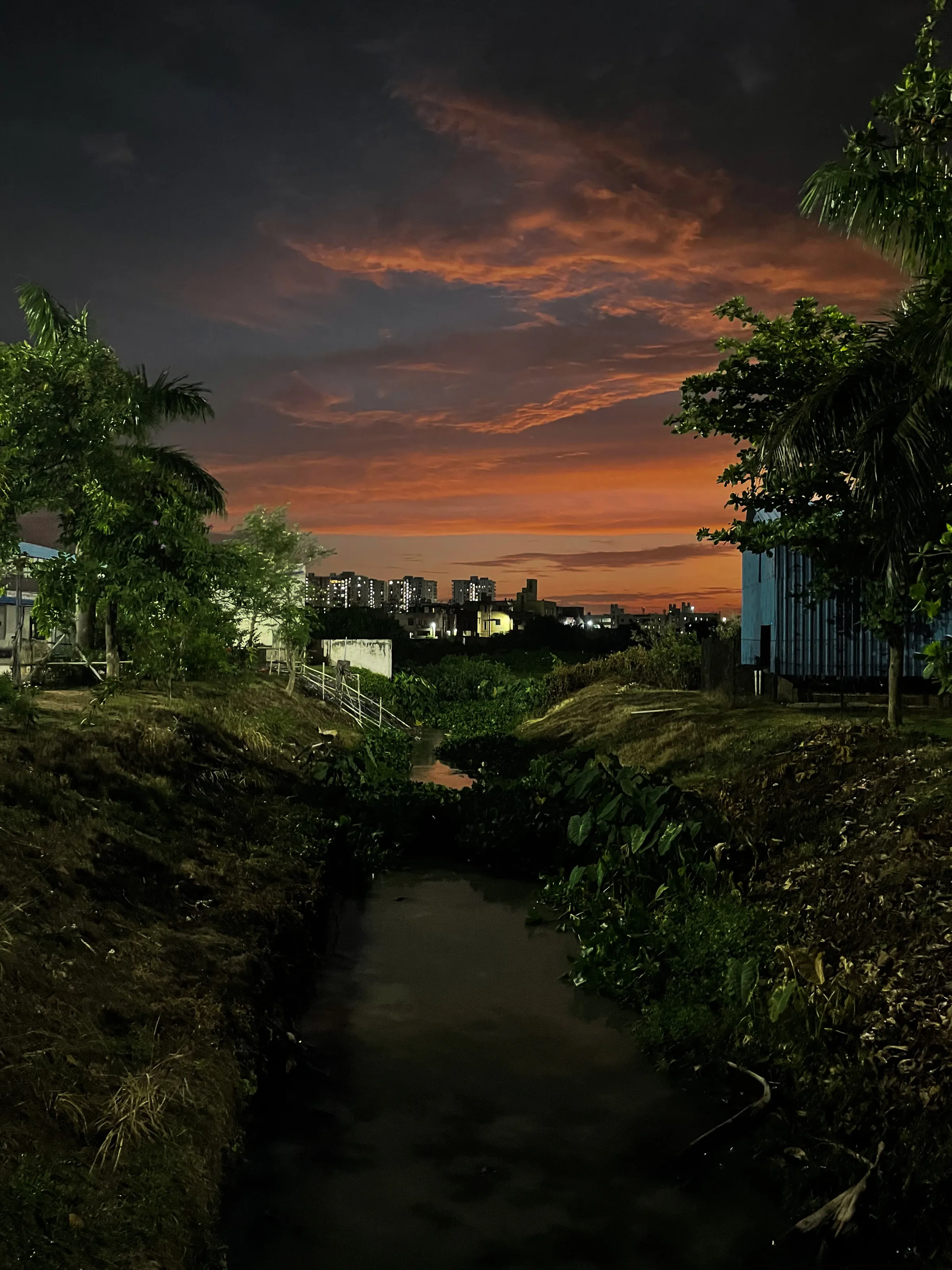 The undying evening