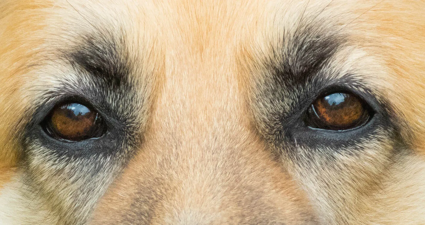 I'm watching you.