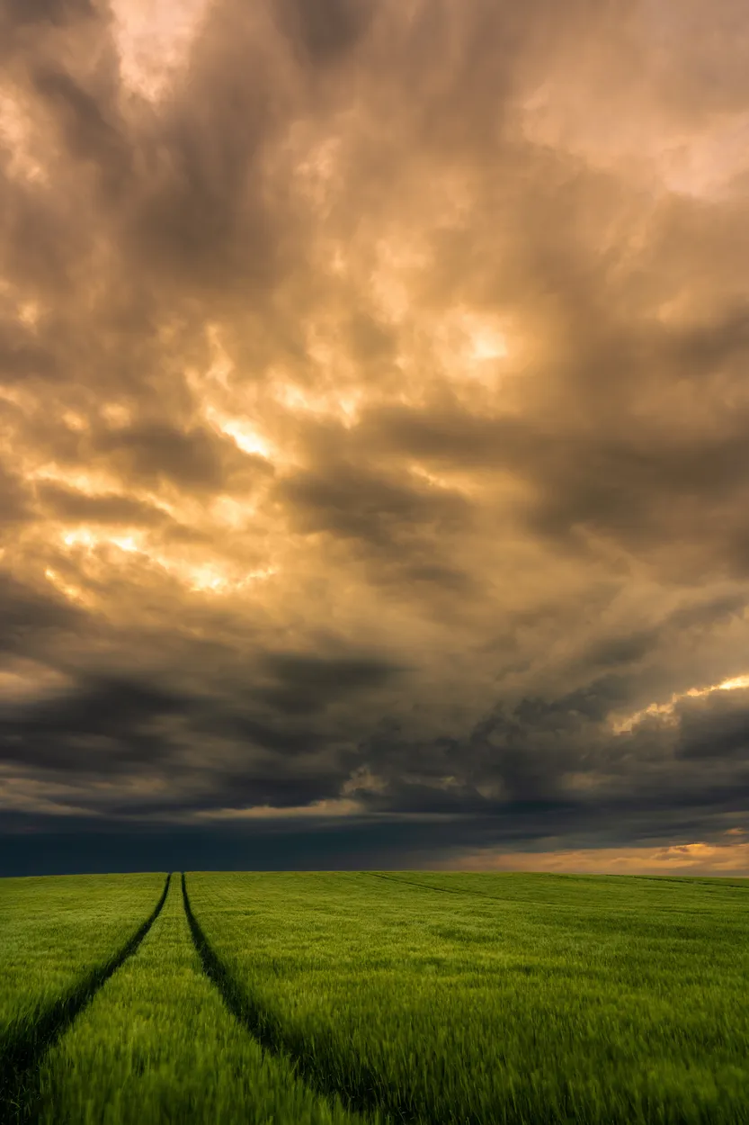 Entry 12919057