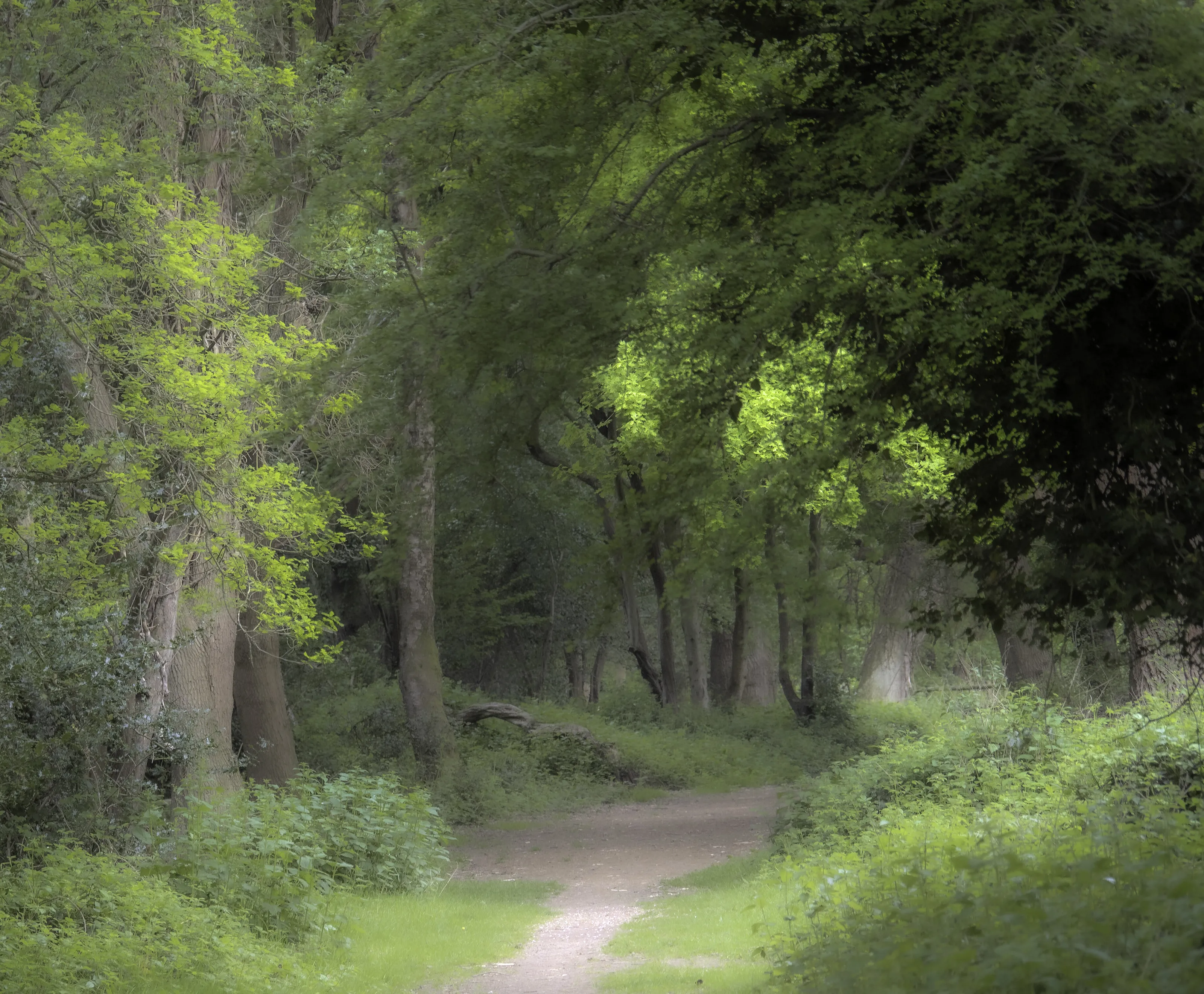 Take a walk with me