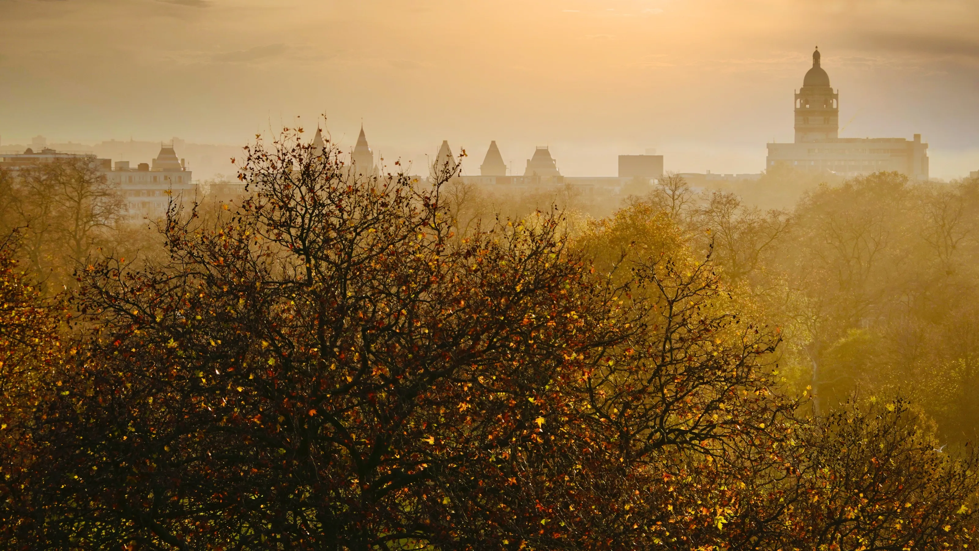 Hyde Park, London