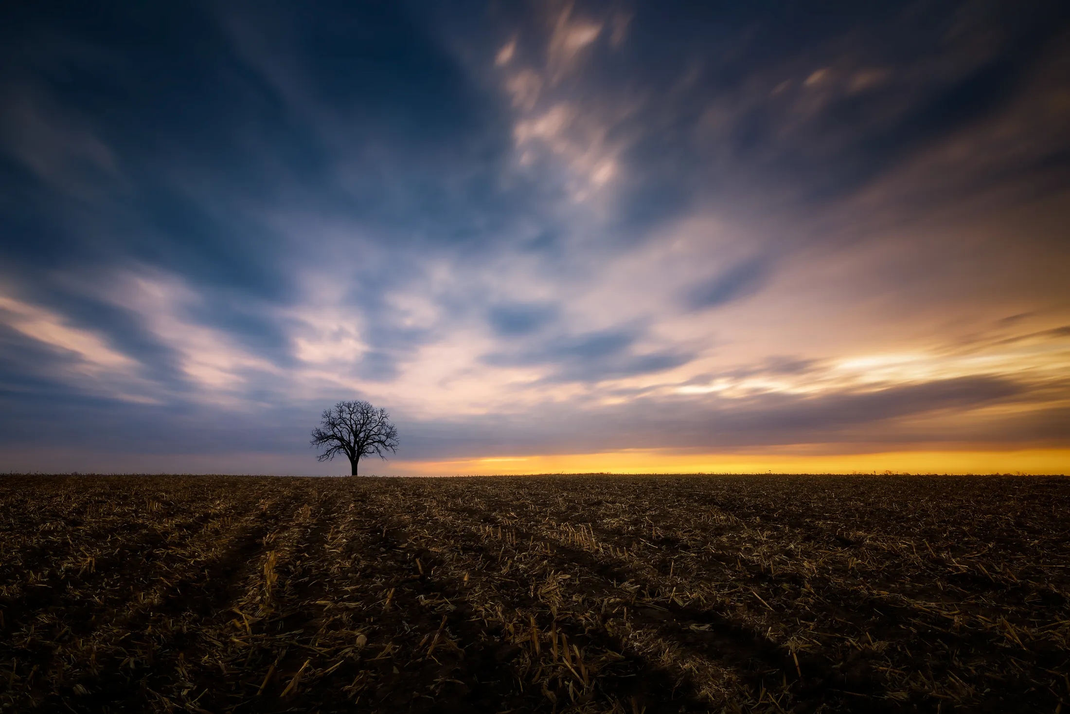 After the Harvest