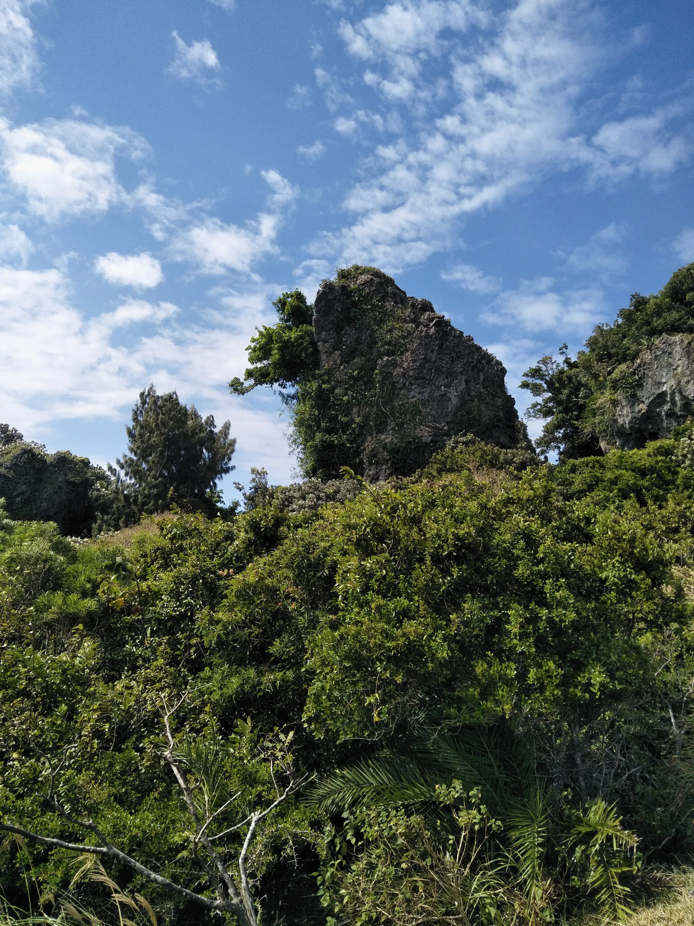 風景 社頂自然公園