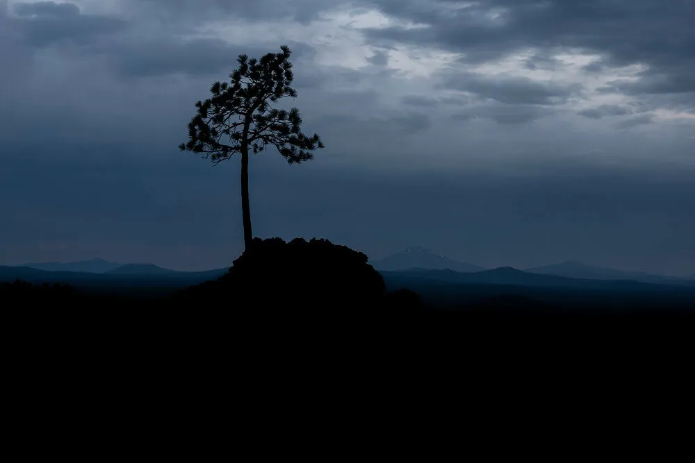 Lone Tree at Dusk