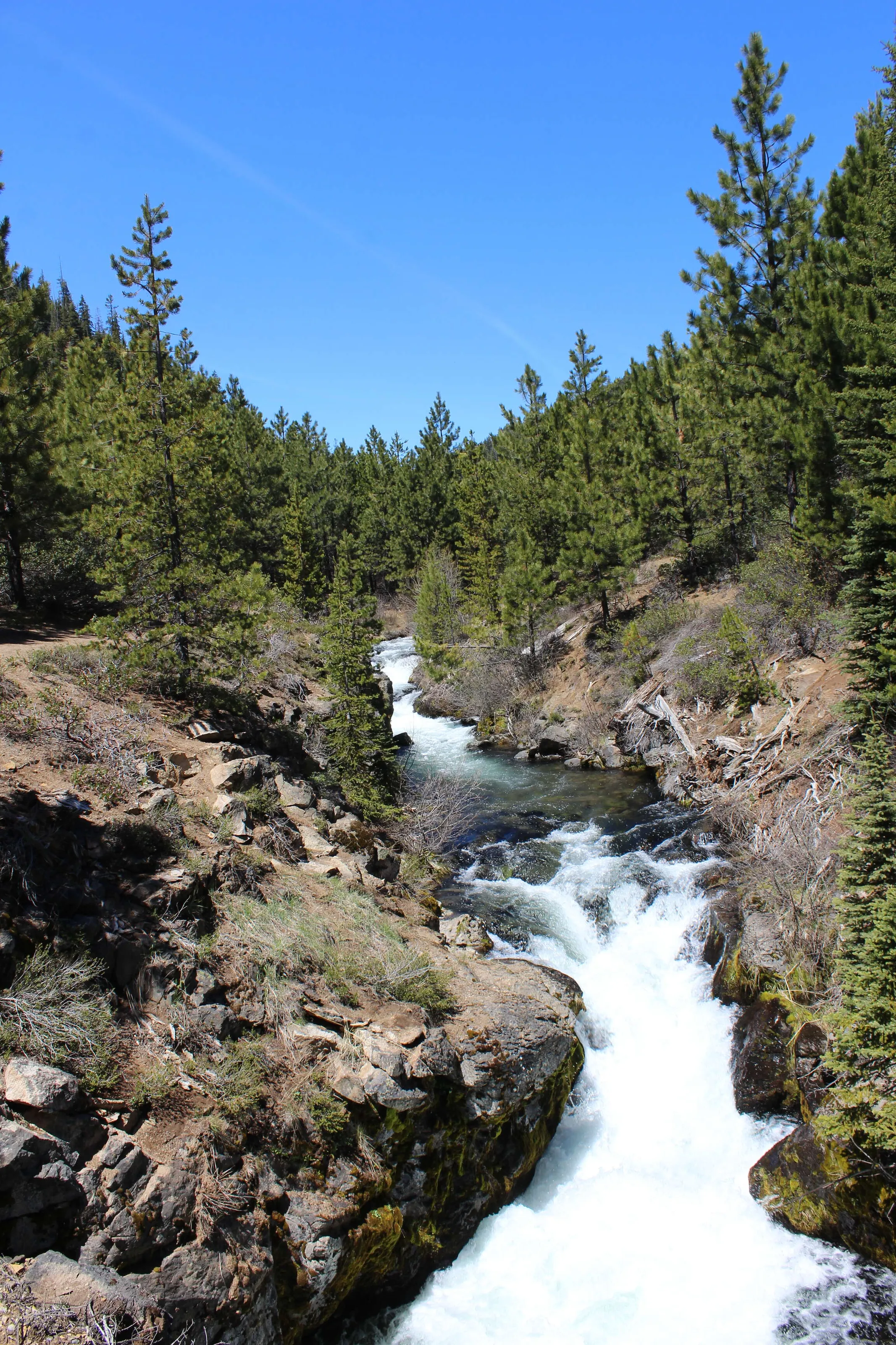 Tumalo Creek