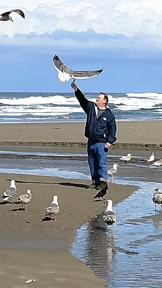 The Birds