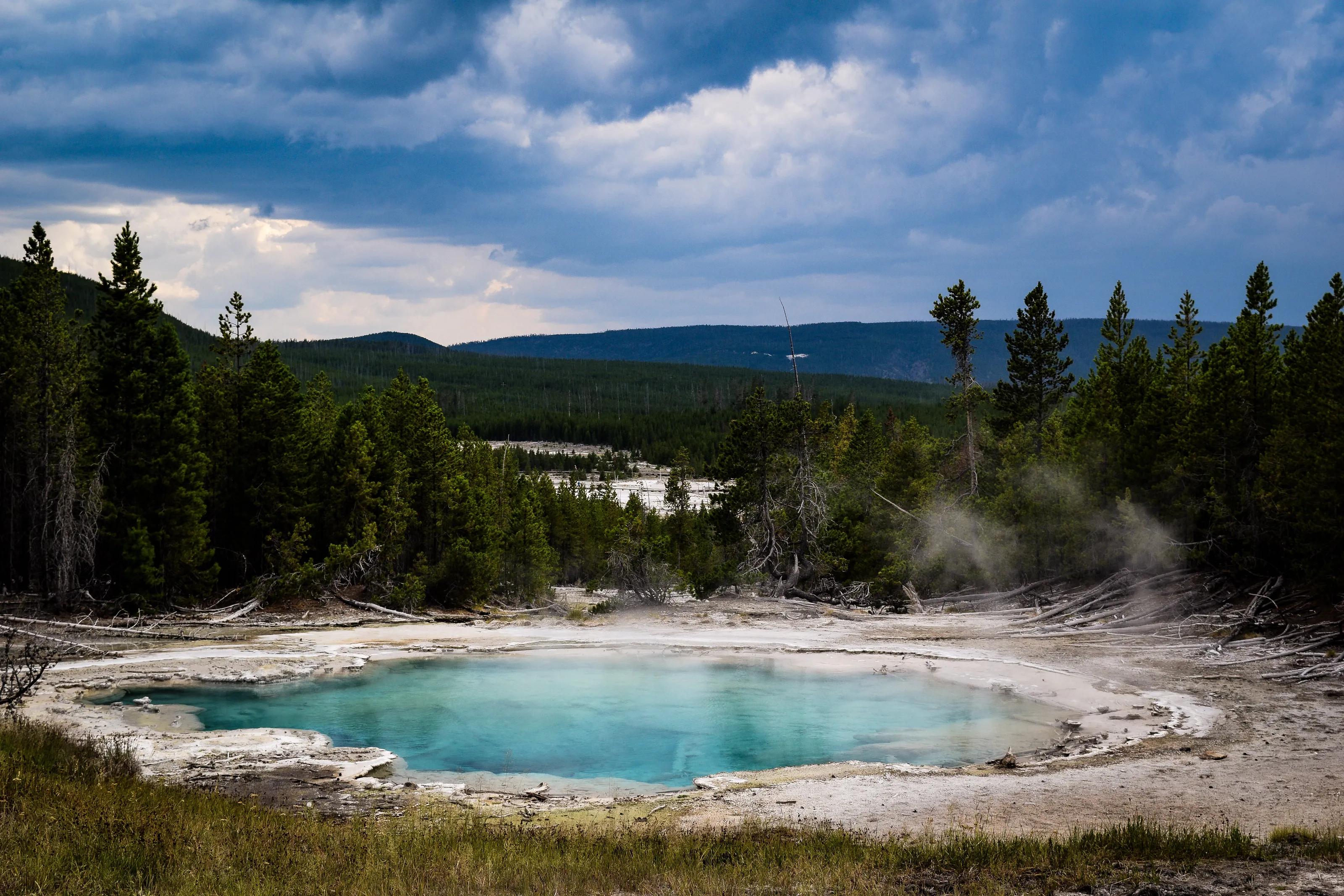 Yellowstone Landscape