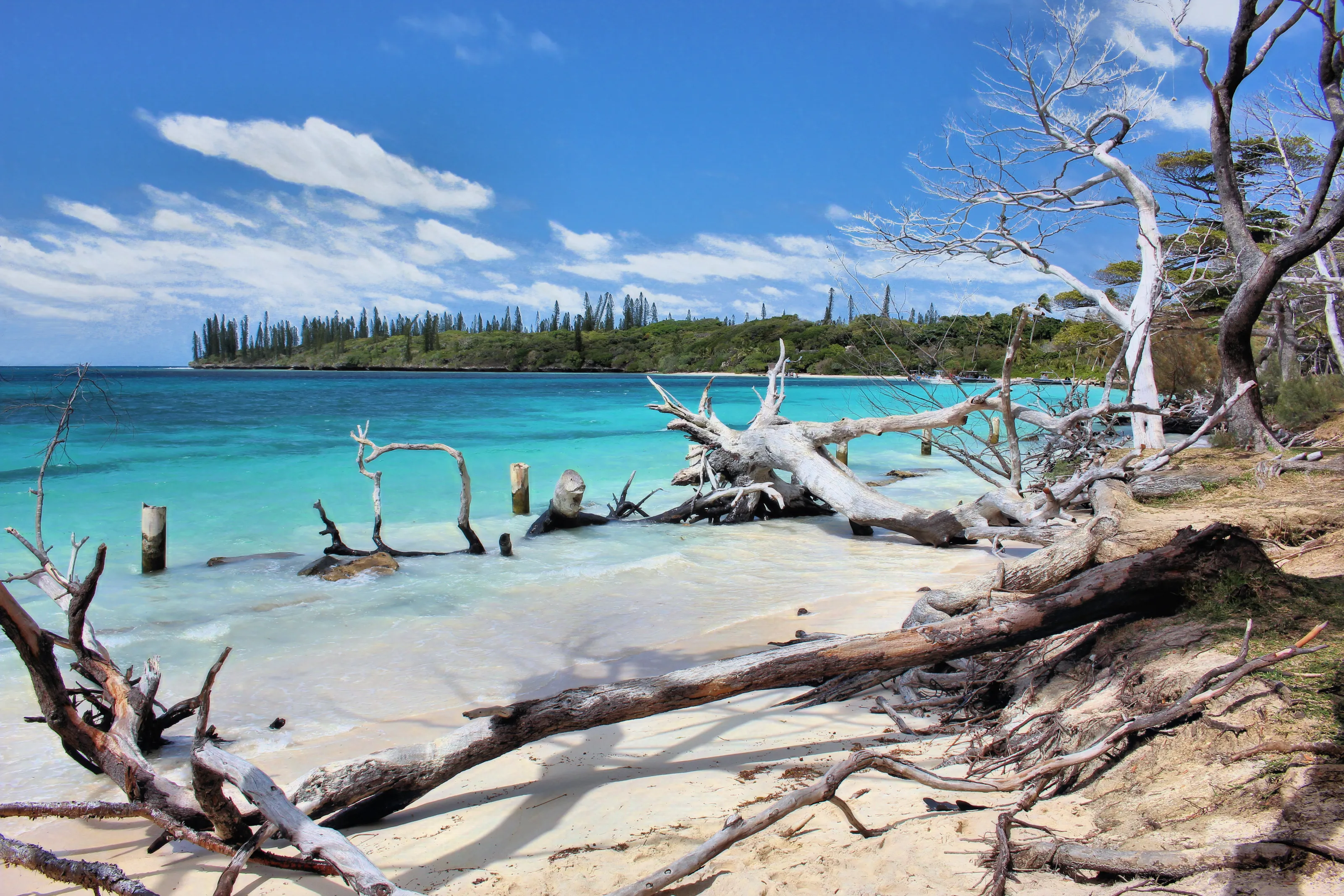Beautiful Isle of Pines