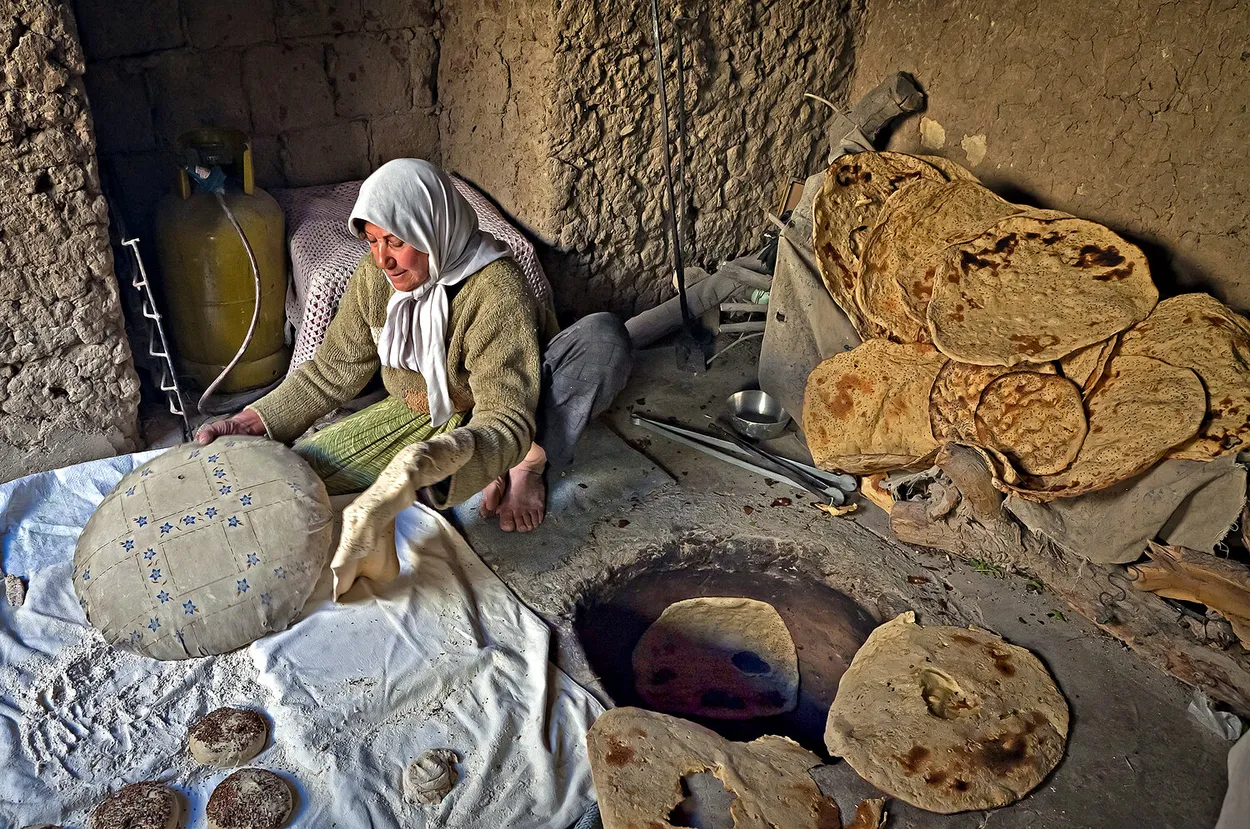 Entry 681635