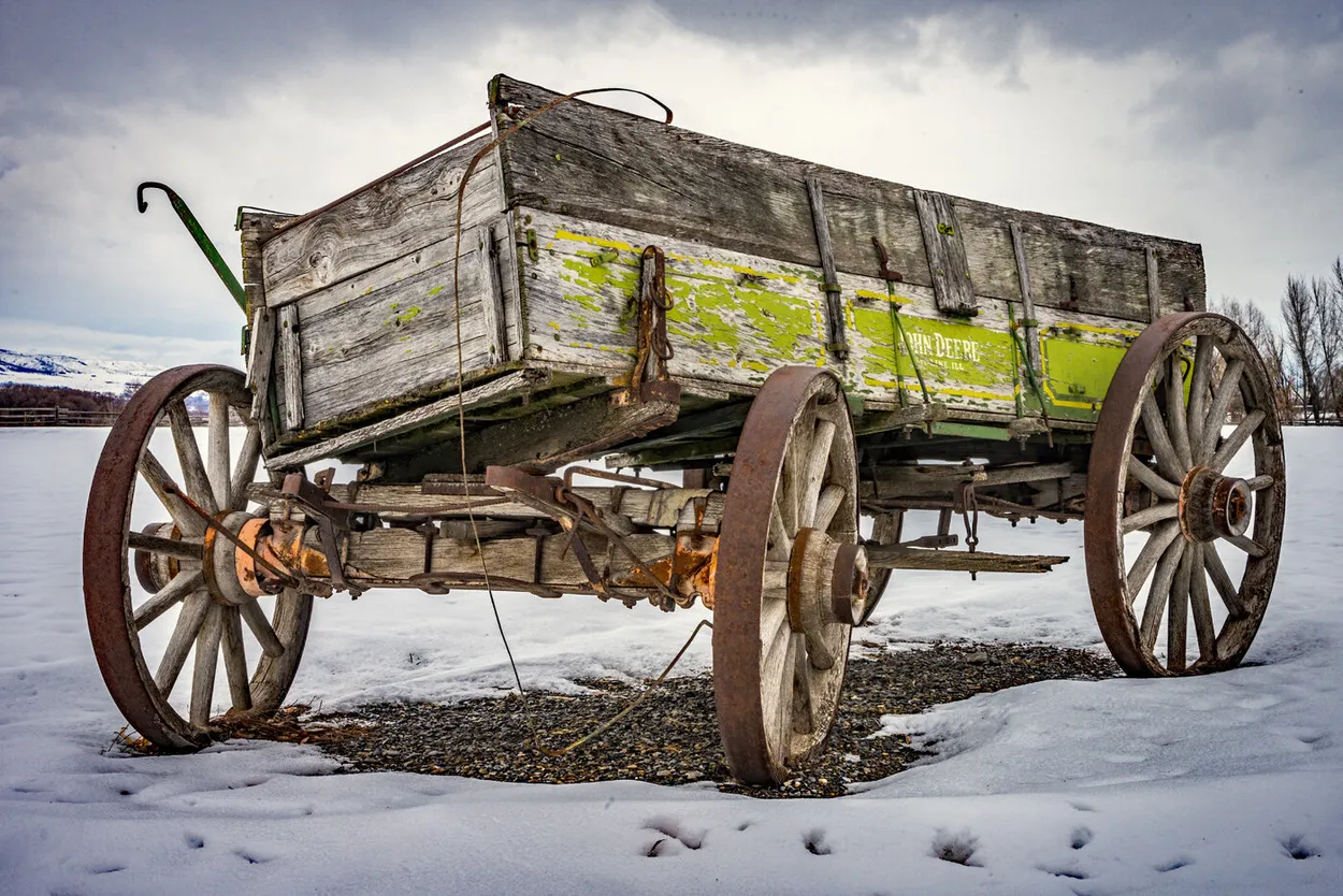 Entry 12976997