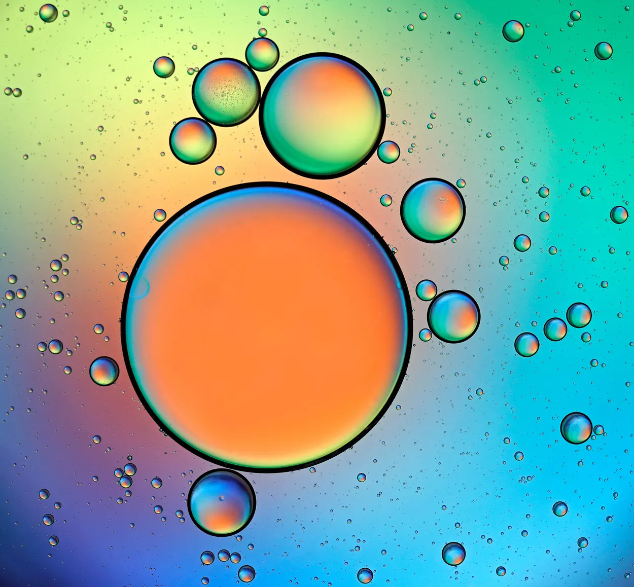 Entry 12987286