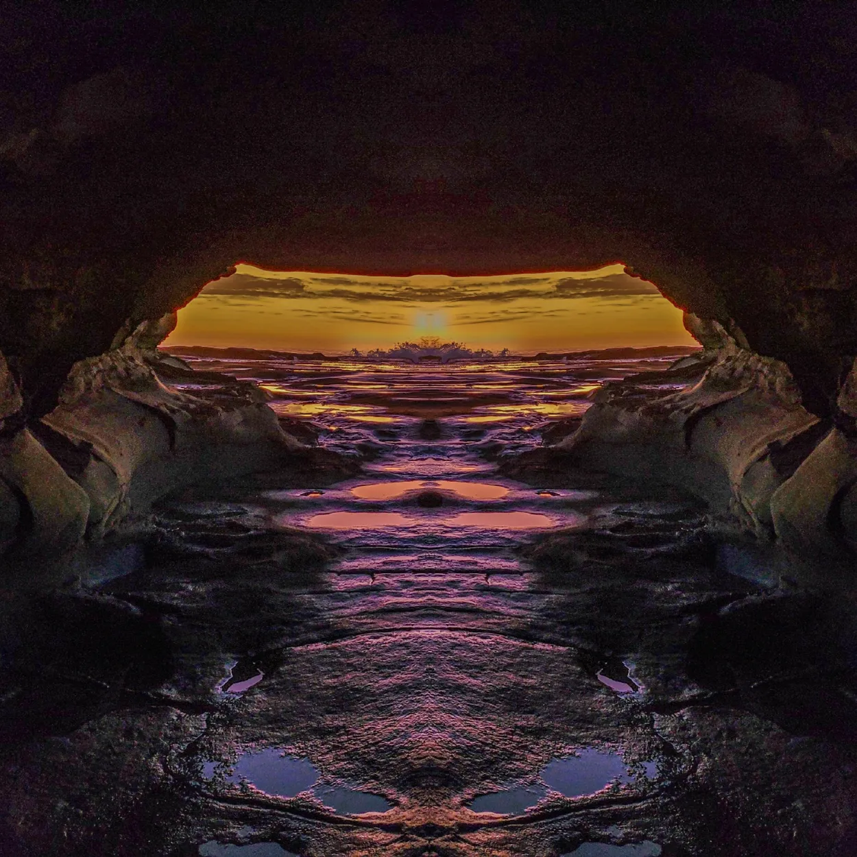 Entry 13565519