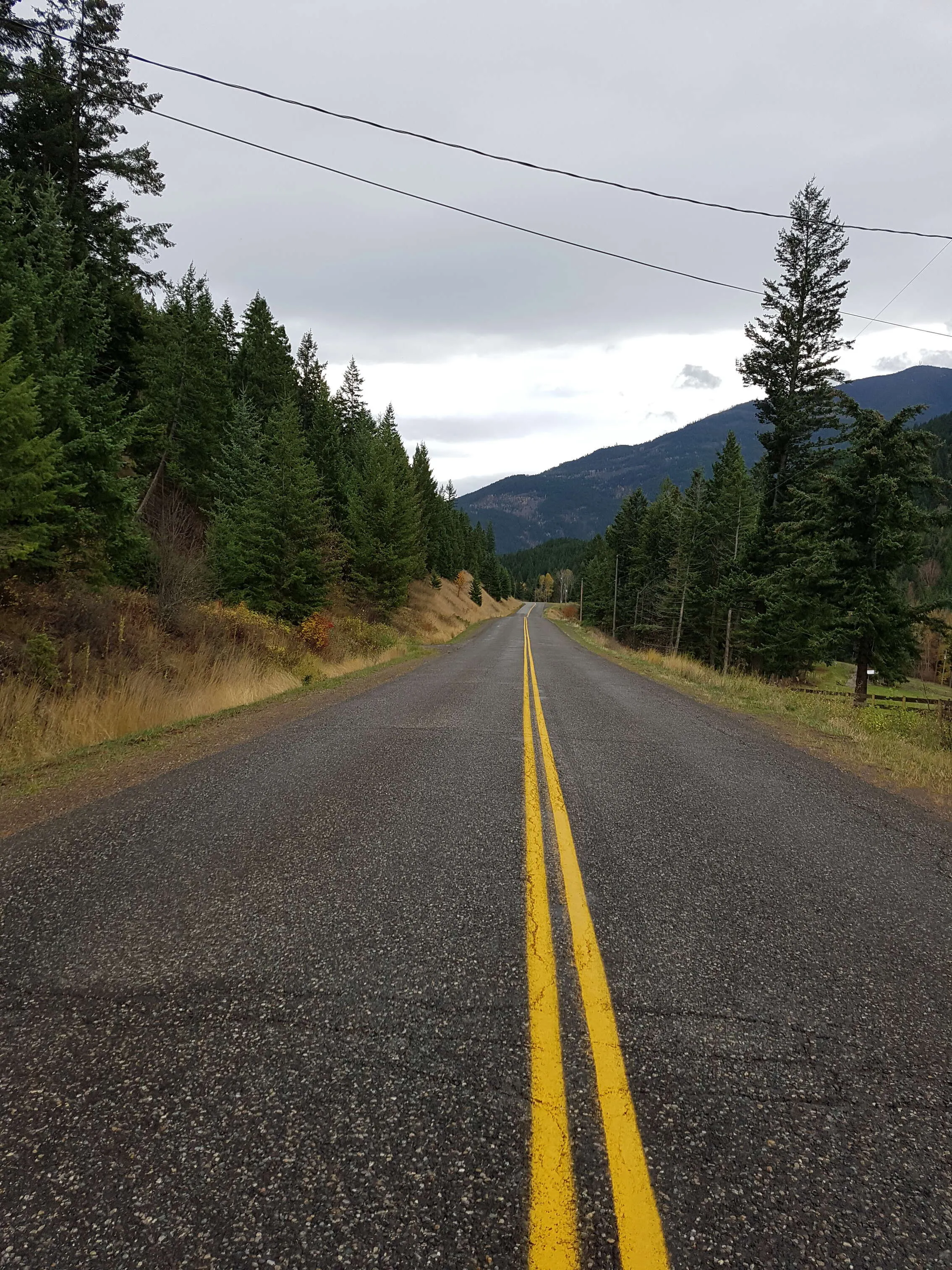 The road home.