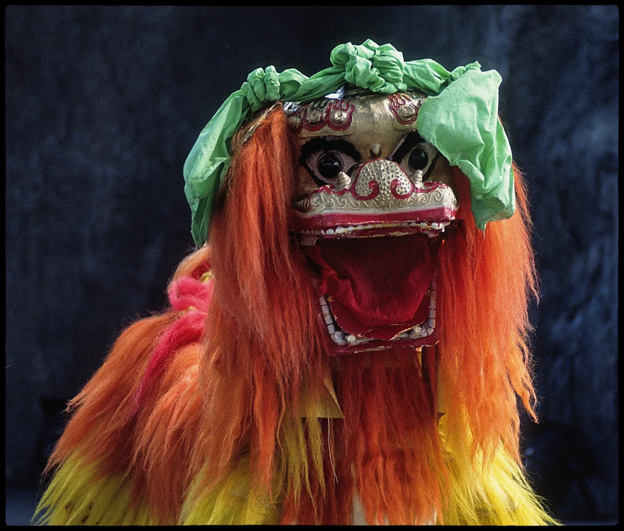 Entry 18926393