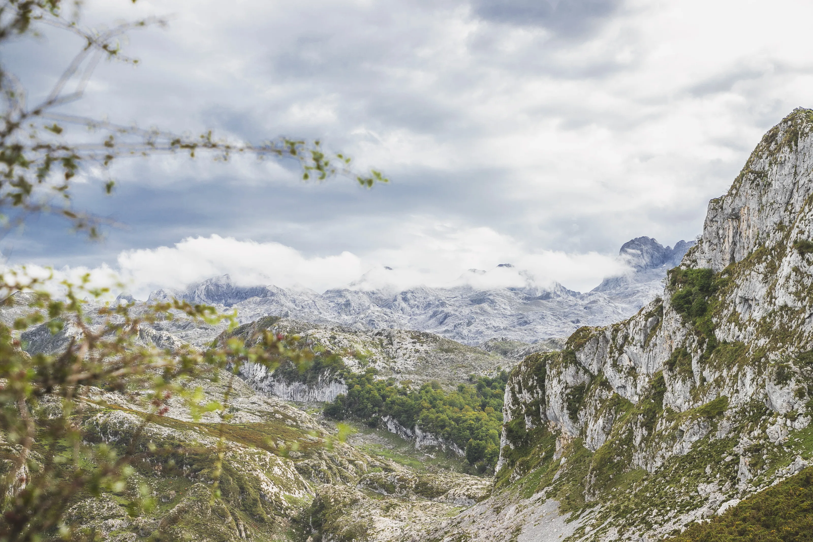 Among the Mountains