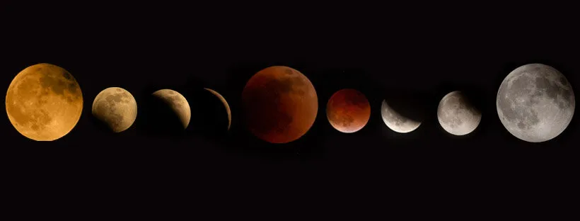 Banner image
