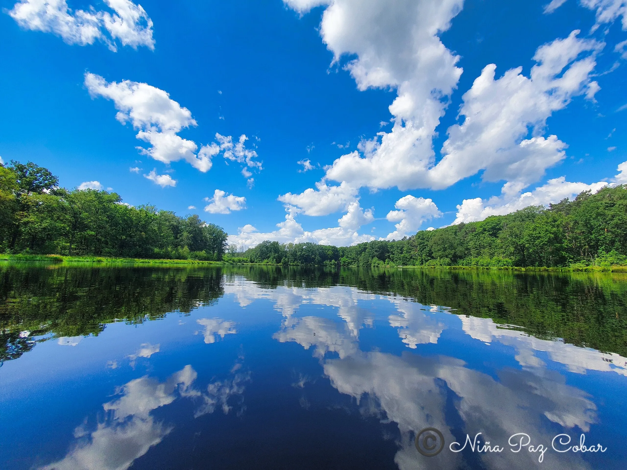 Reflection