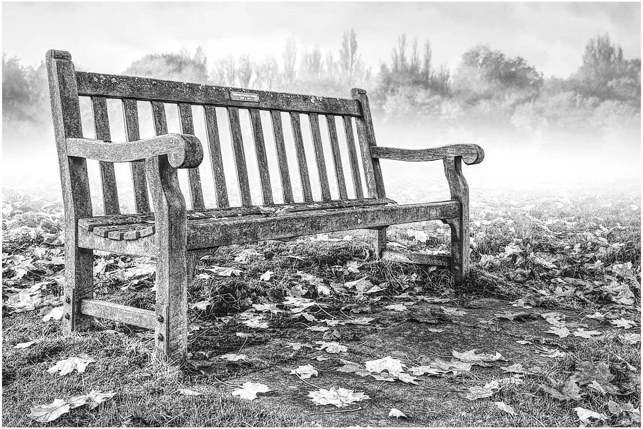 Entry 13554780