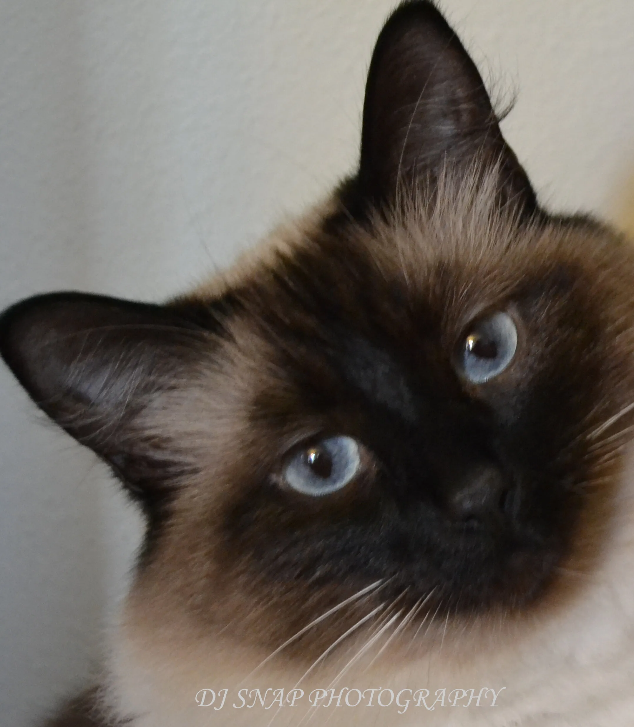 Kiki